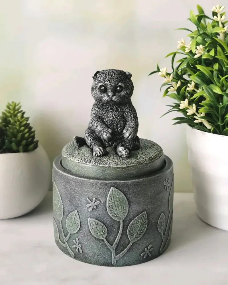 Шкатулка с шотландским вислоухим котиком