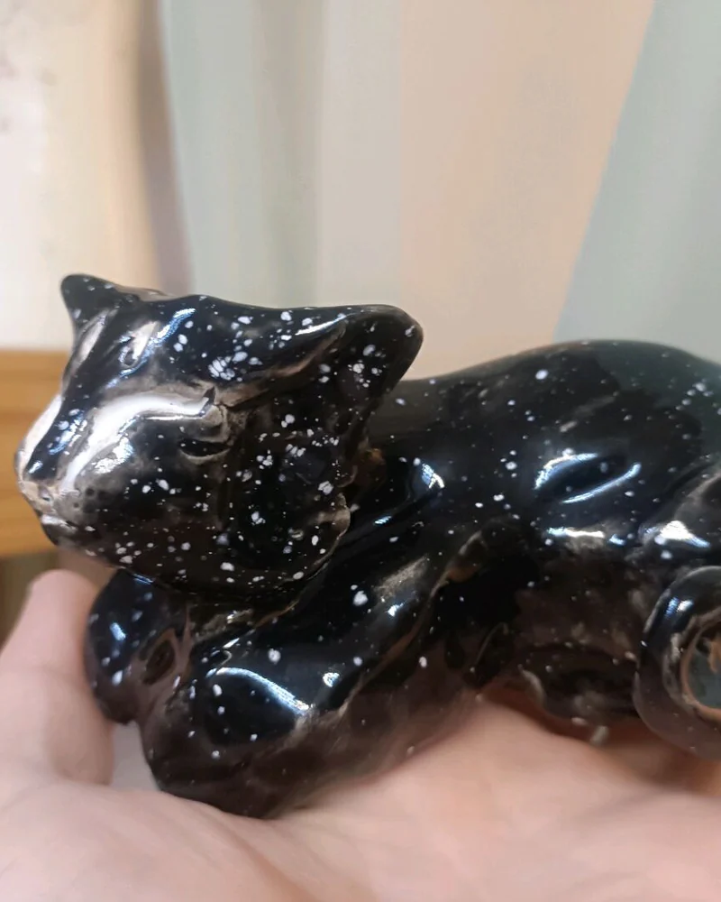 Космическая кошка