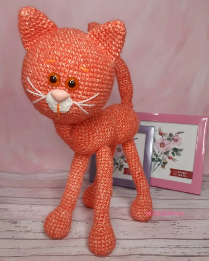 Рыжий кот