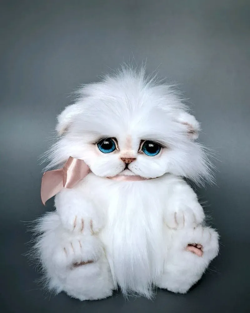 Котёнок тедди Зефир, белый