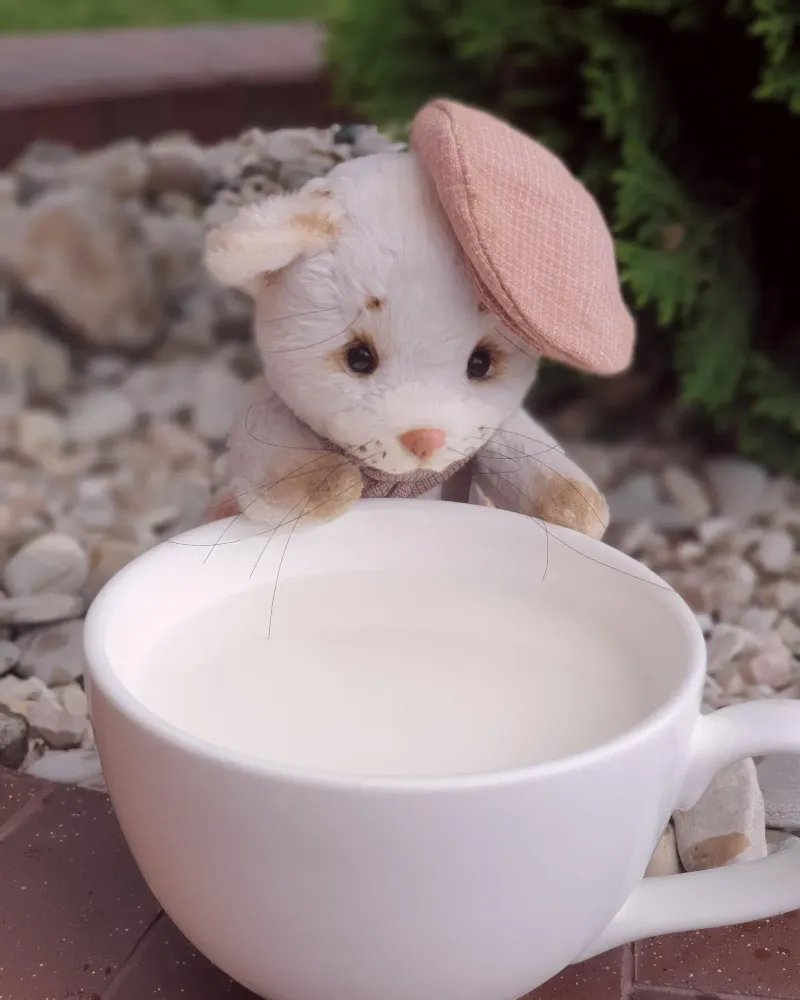 Котёнок Ричи — Основной