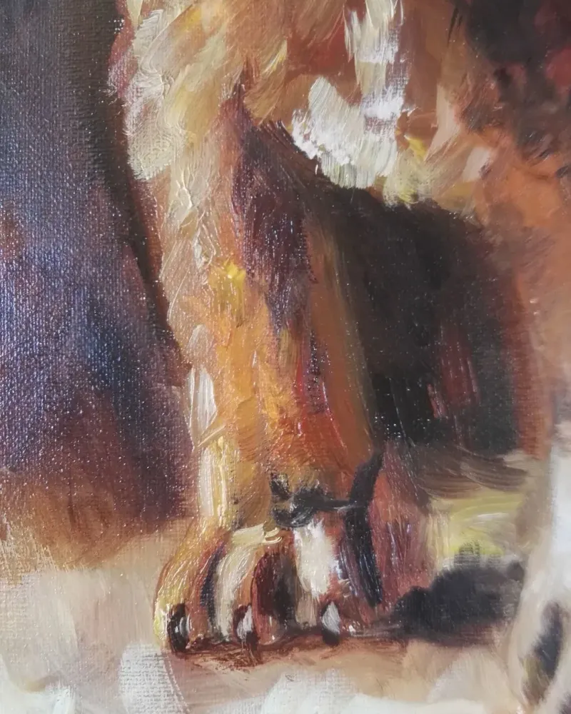 Львенок. Картина маслом 30×40 см — 30×40 см
