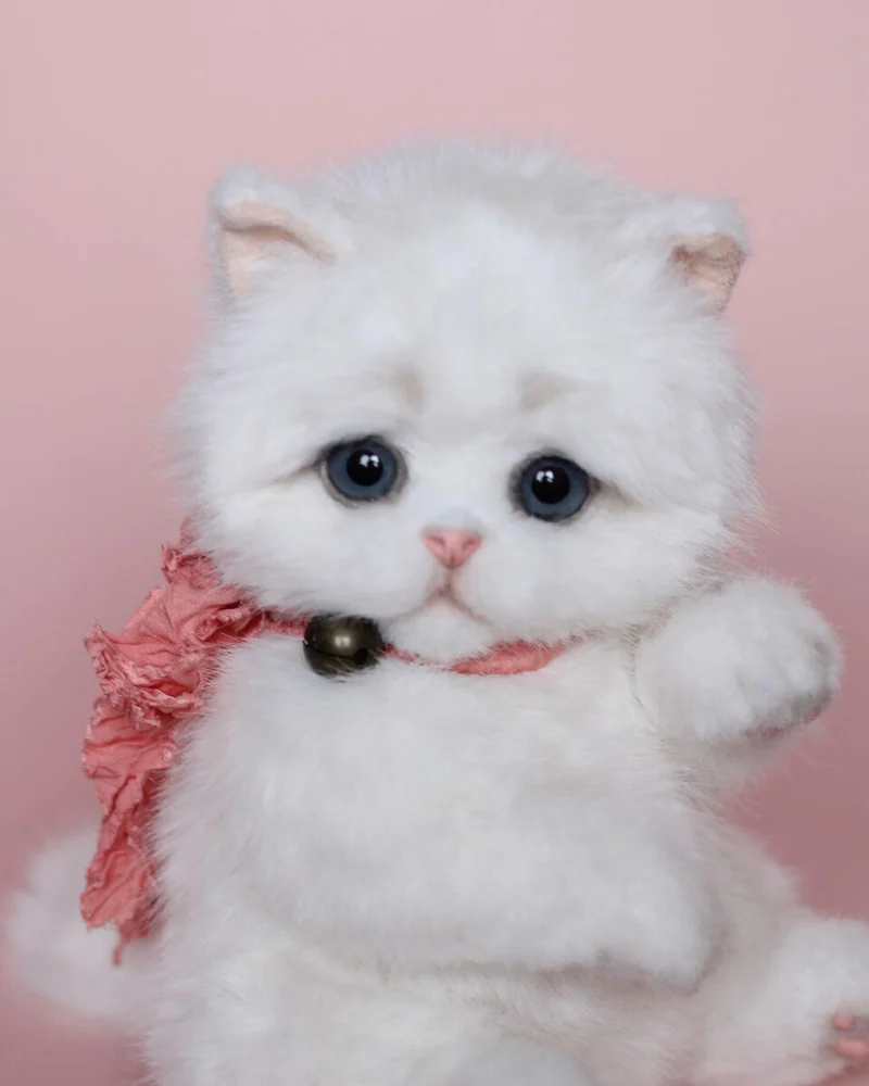 Котенок тедди 22 см, белый — Белый