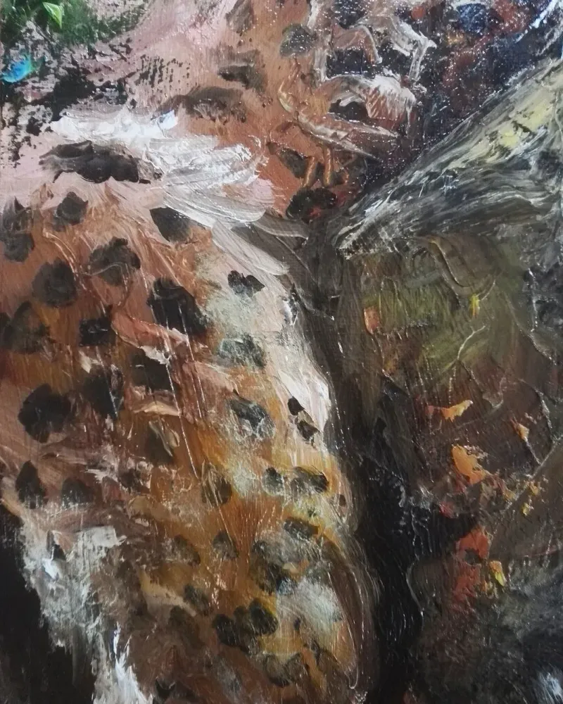 Леопард. Картина маслом 40×50 см — 40×50 см