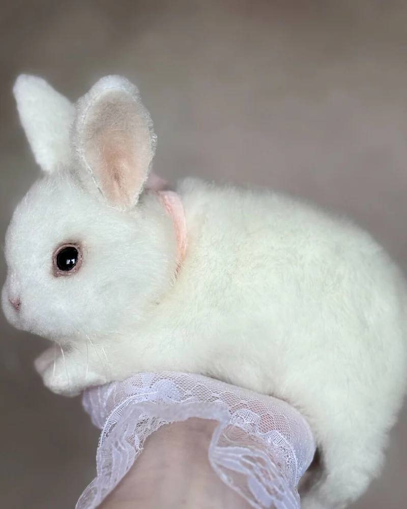 Кролик, белый — Белый