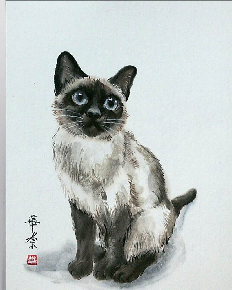 Картина Тайская кошка, 21x30 кот сиамский
