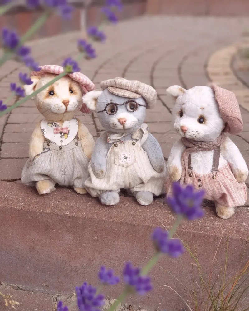 Кошачья банда — котята Рани, Генри и Ричи — Основной