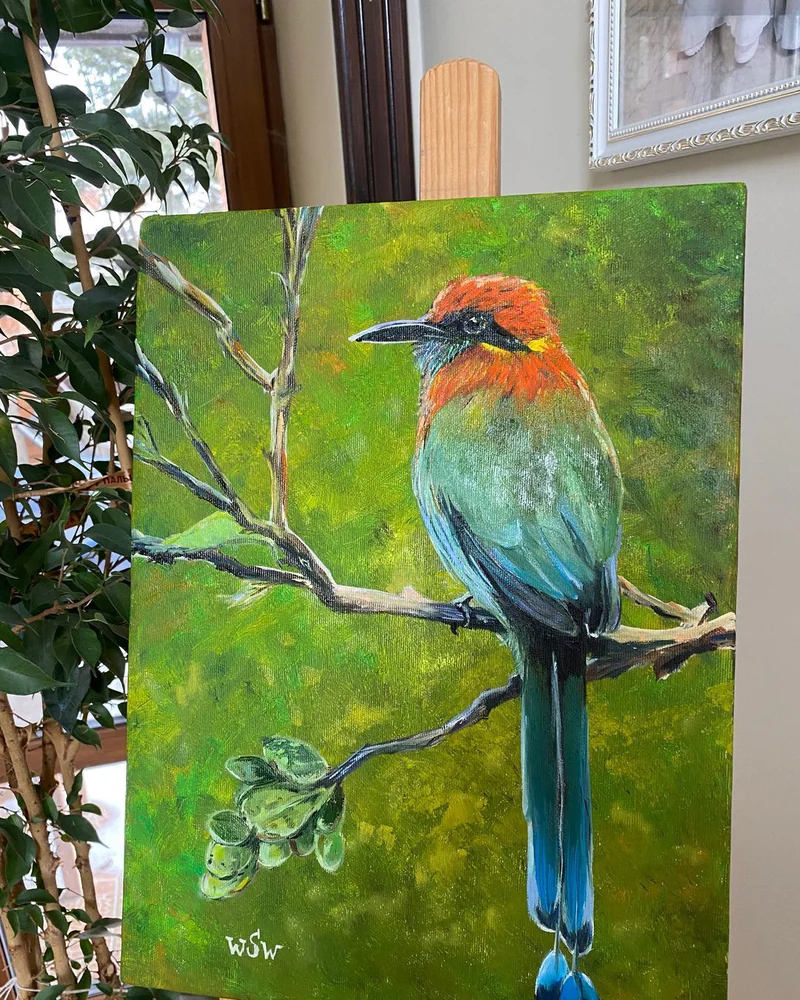 Картина маслом Экзотические птицы. Motmot. 30×40 см — Оригинал