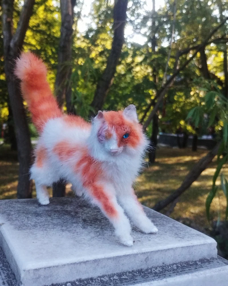 Рыжая кошка воин Яркое Сердце