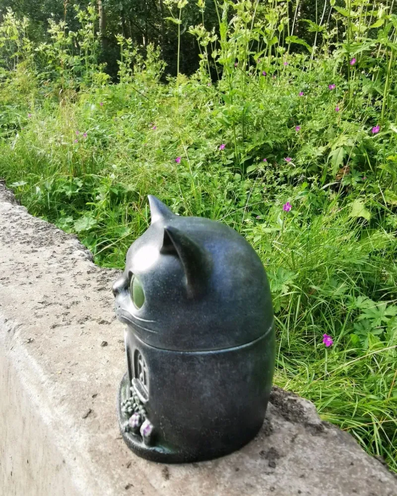 Шкатулка «Котик-домик»