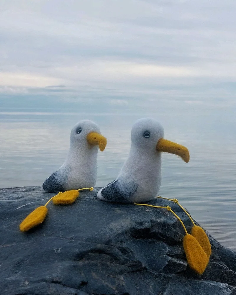 Чайка