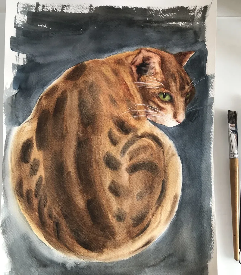 Кот. Картина акварелью