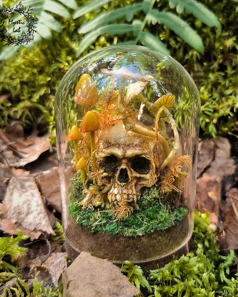 Мини клош ЧЕРЕП