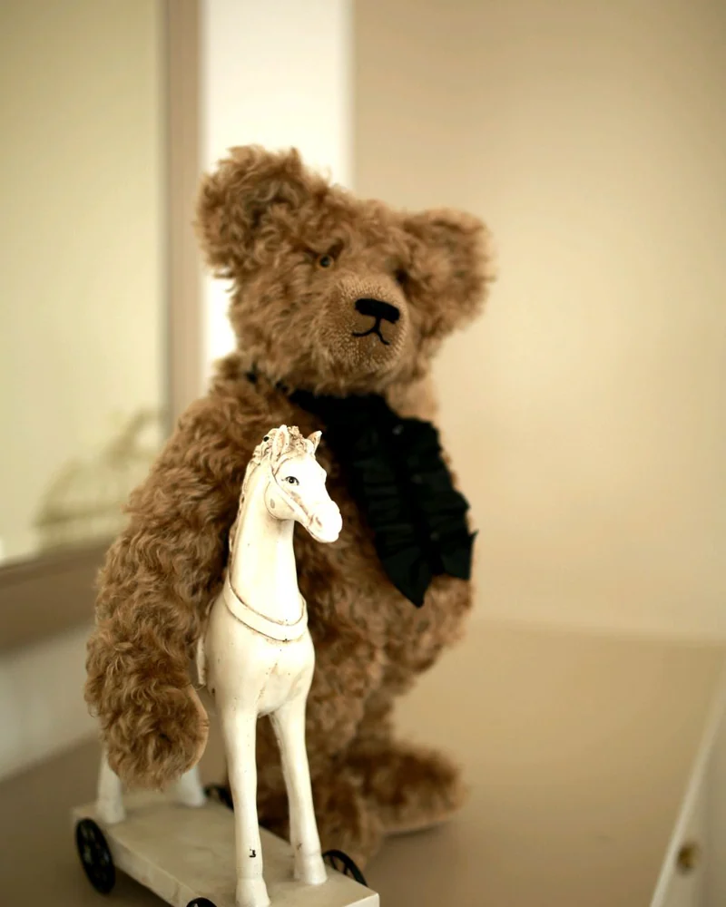 Бася — коричневый