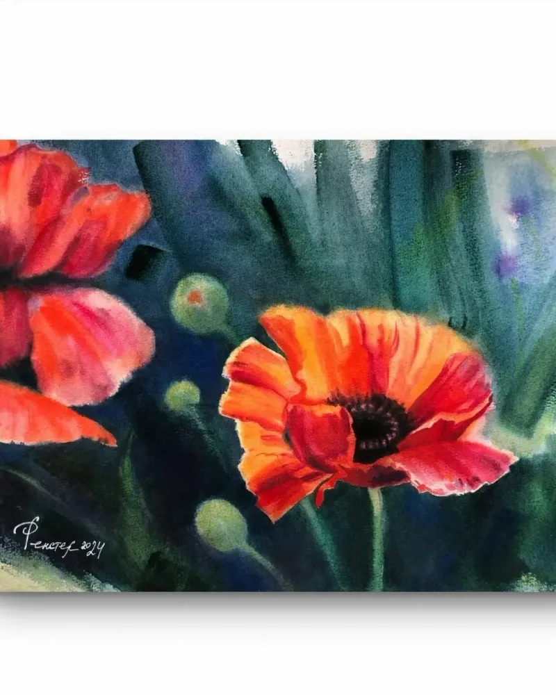 Маки. Полевые цветы акварелью — 30×40 см