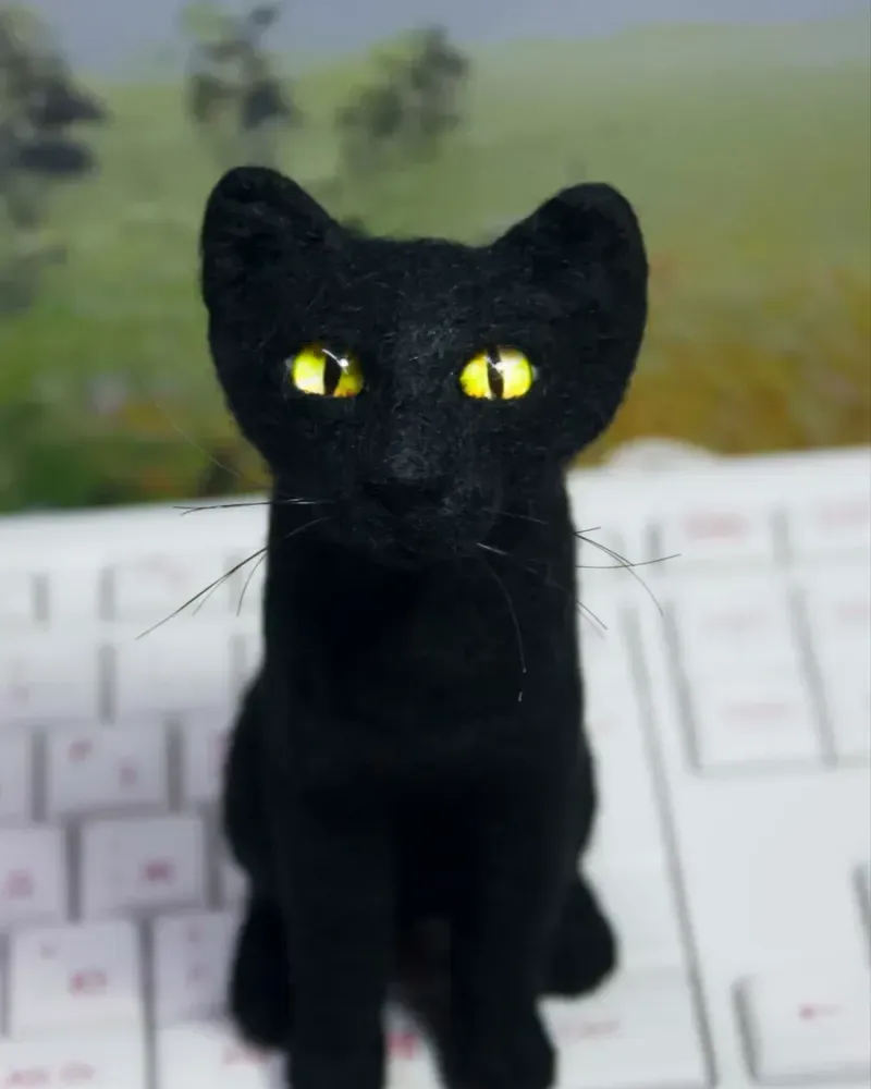 Чёрная кошка, игрушка из шерсти — Основной