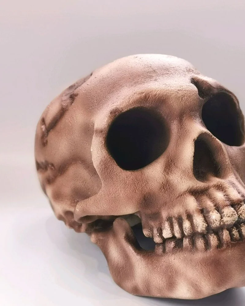 Реплика черепа Homo neanderthalensis (Le Moustier 1)