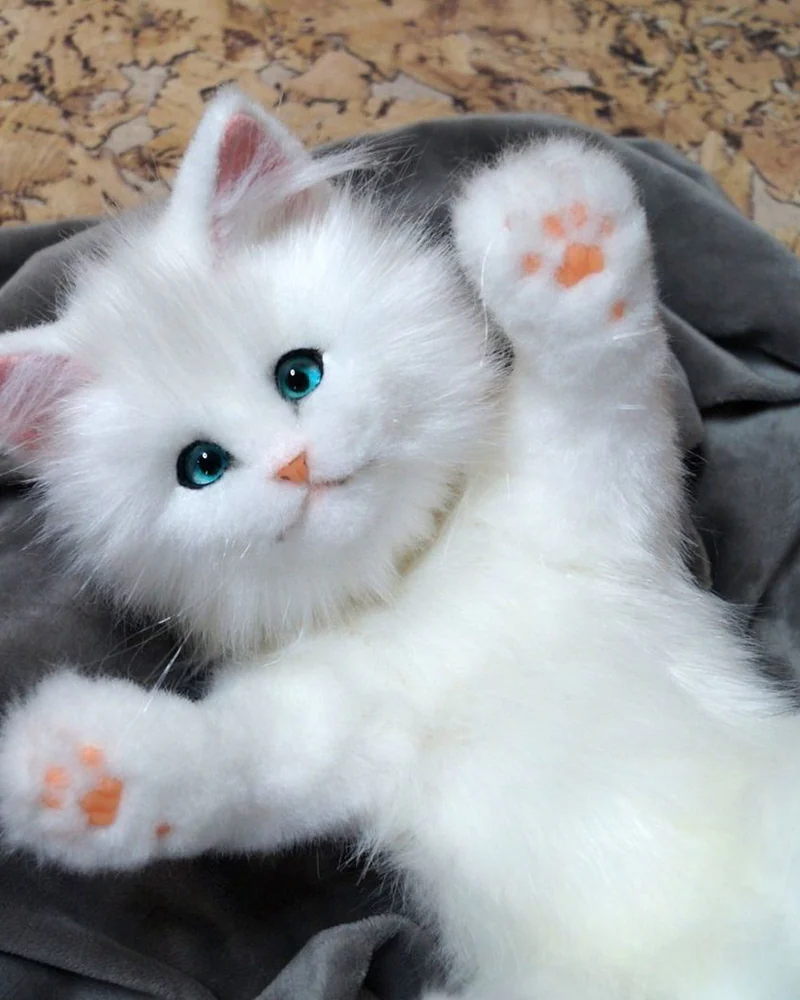 Белый котенок с голубыми глазами Реалистичная игрушка из меха