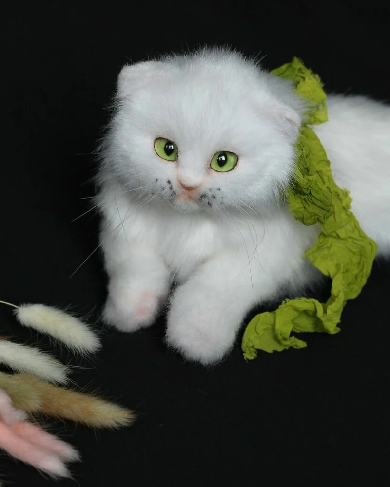 Белый котенок с зелеными глазами