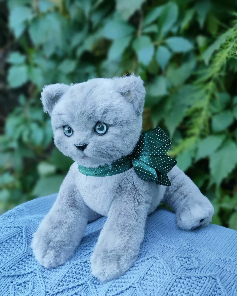 Котёнок Барон