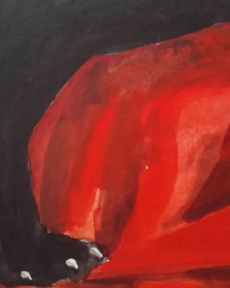 Девушка в красном и черный кот. Акварель 20×30 см — 20×30 см