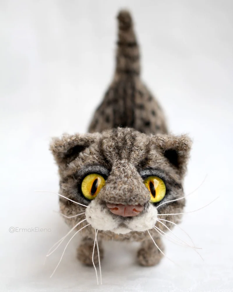 Василий кот