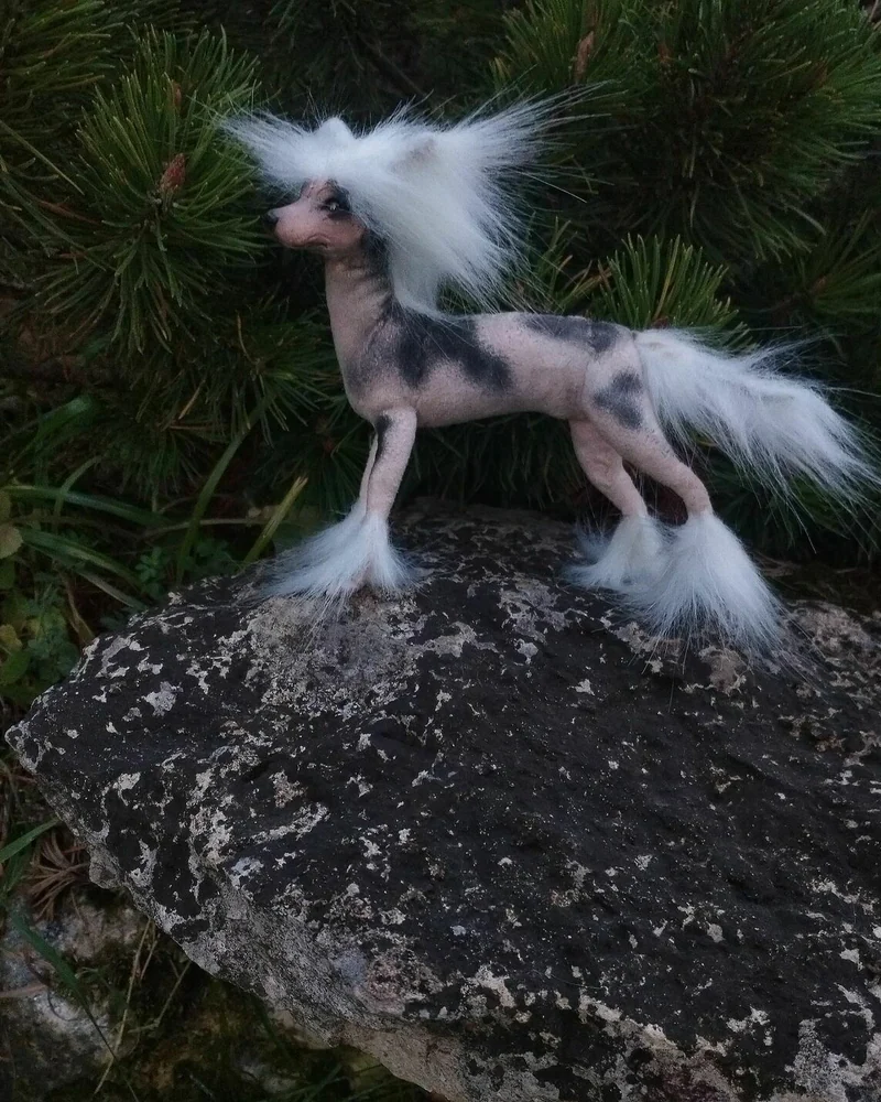 Собака китайская хохлатая, подвижная фигурка 1:6 — Собака китайская хохлатая