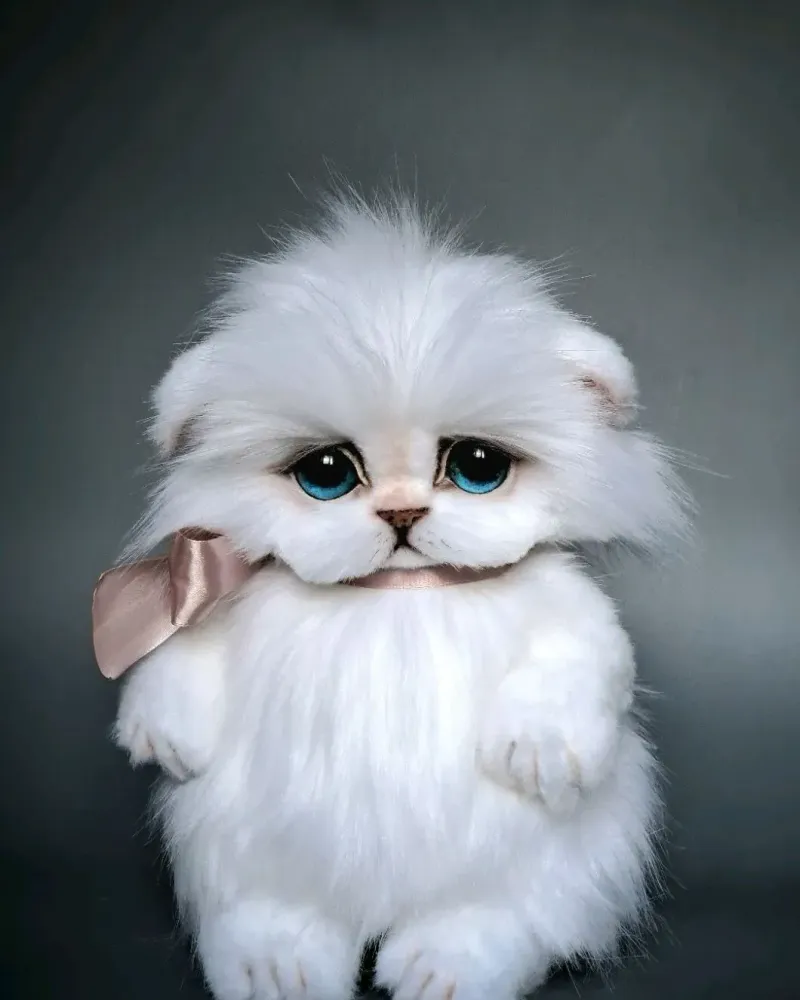 Котёнок тедди Зефир, белый