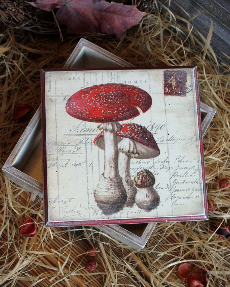 Короб "Мухоморы", мультиколор