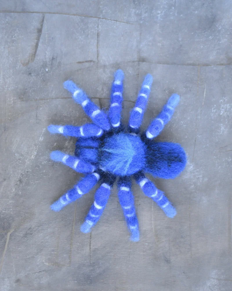 Валяная брошь Синий паук птицеед