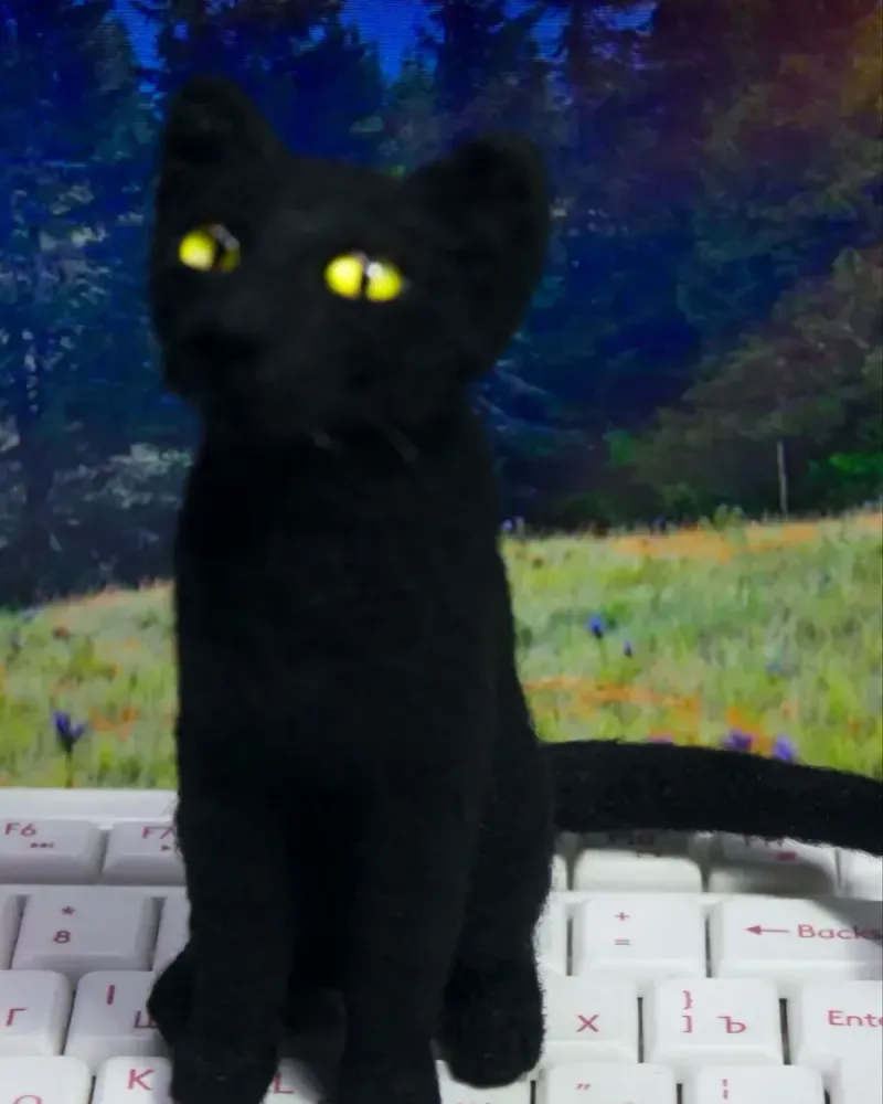 Чёрная кошка, игрушка из шерсти — Основной