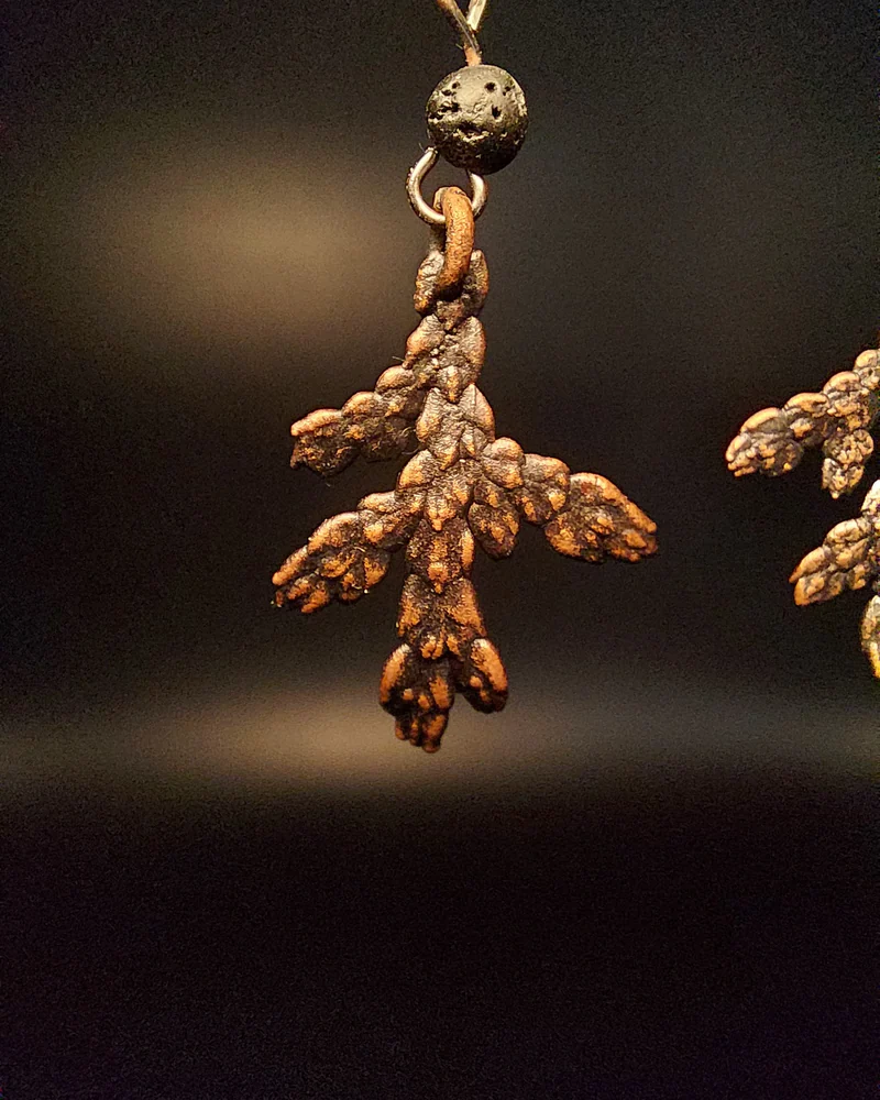 Серьги туевы