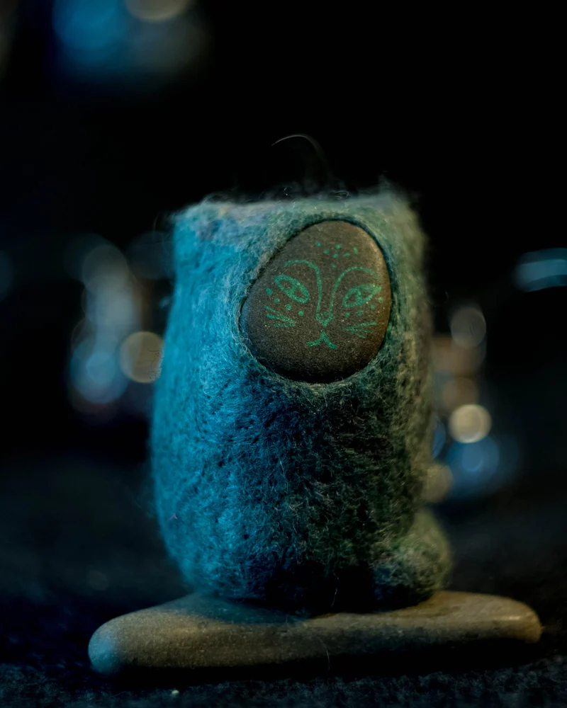 Морские котики