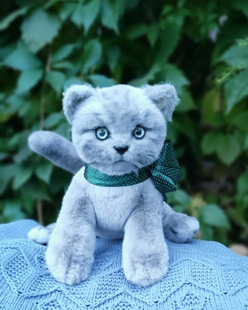 Котёнок Барон