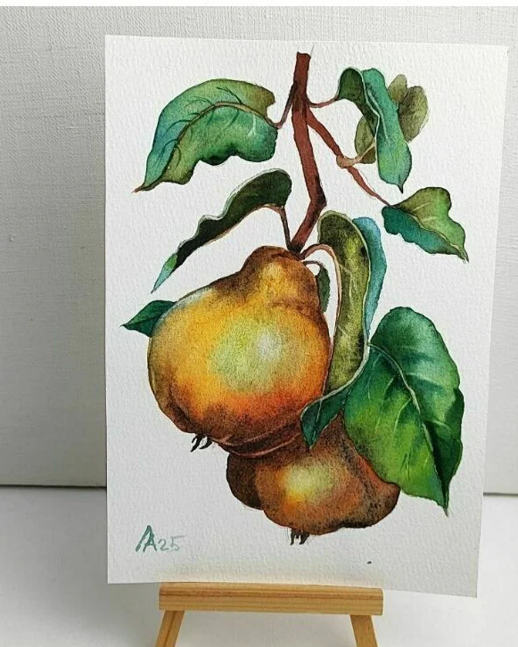 Картина с айвой акварель для кухни 13.5 на 19.5 см