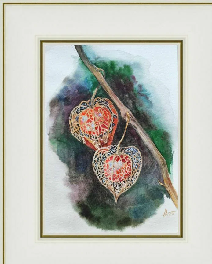Картина с физалисом акварель 14,9 × 21 см