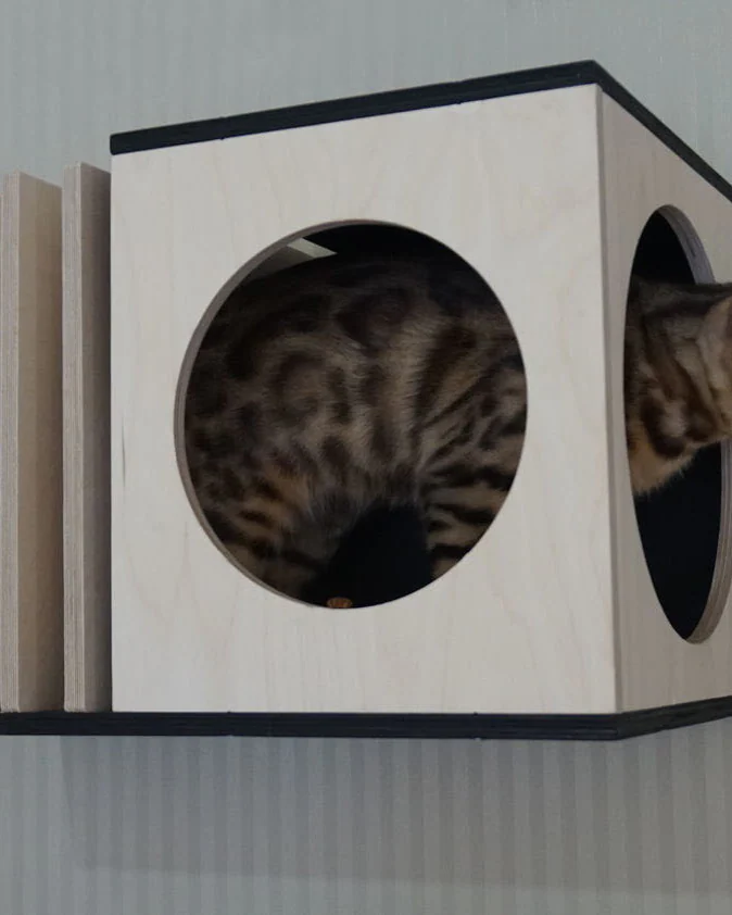 лежанка настенная для кошек, домик для кошек подвесной на стену "Космос-4" VIMBESK — Черный