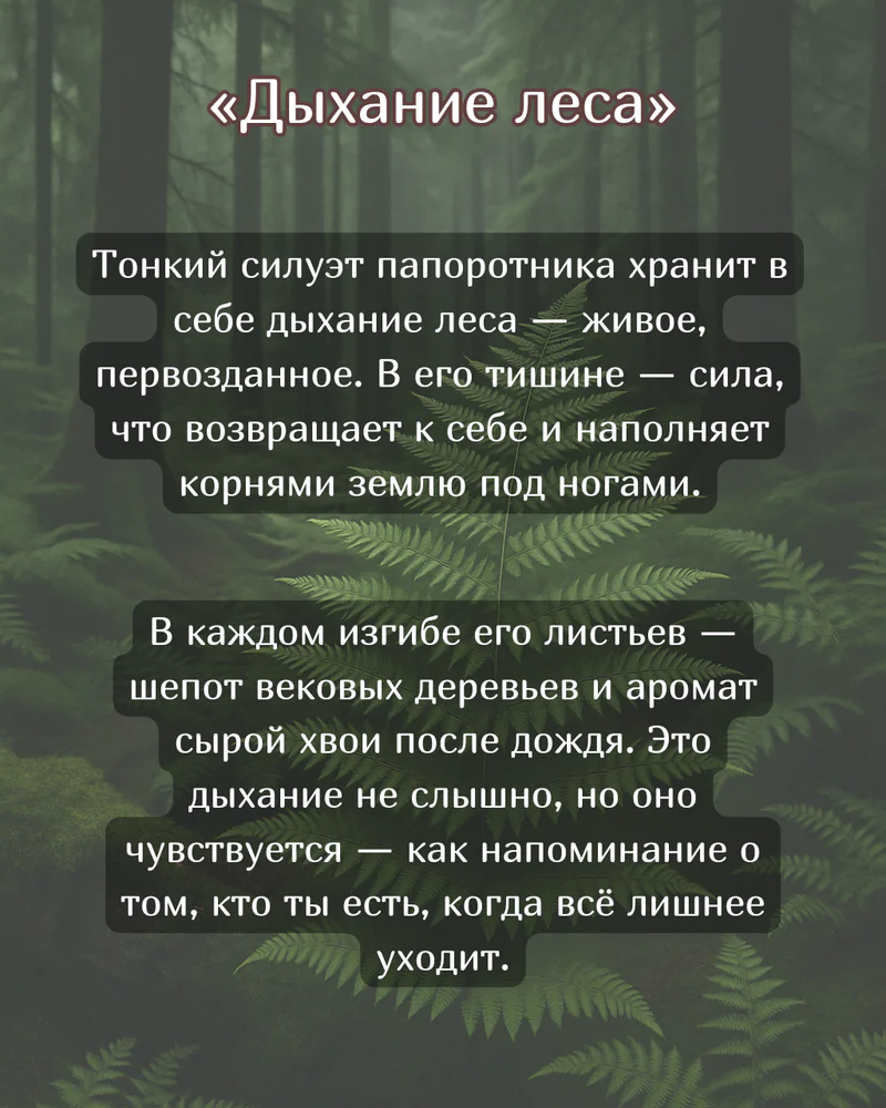 Восьмиугольник "Дыхание леса" — Основное исполнение