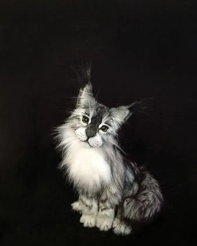 Котёнок мейн-кун тедди «Голубой мрамор»