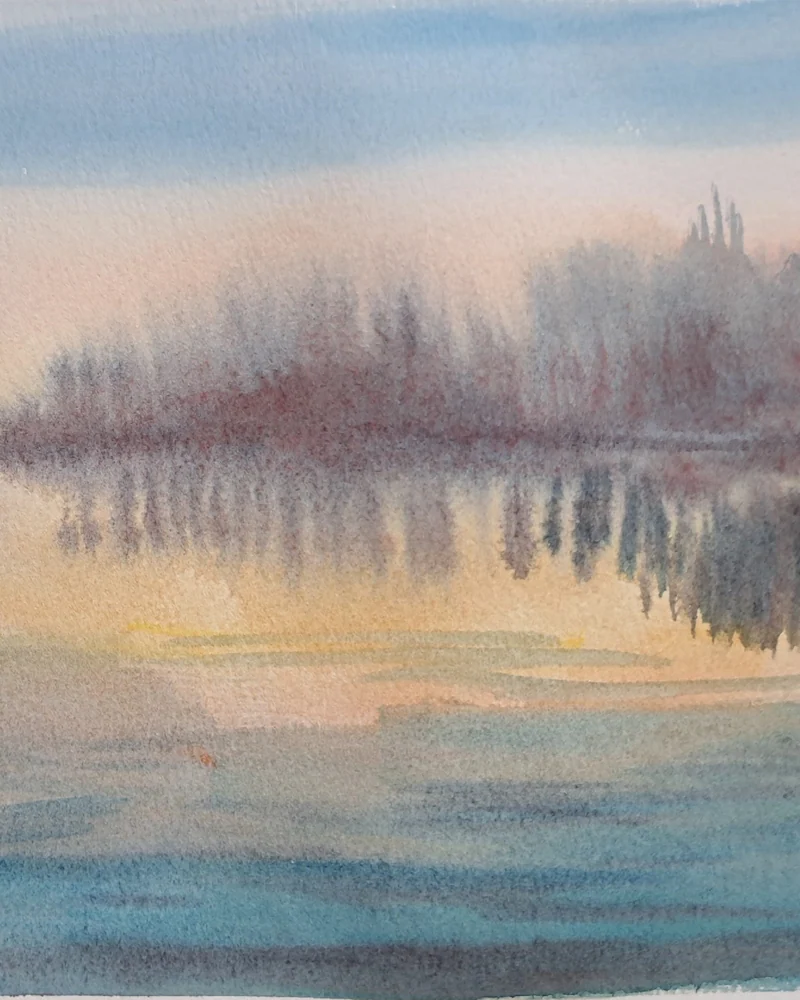 Карельская гладь — 20*30
