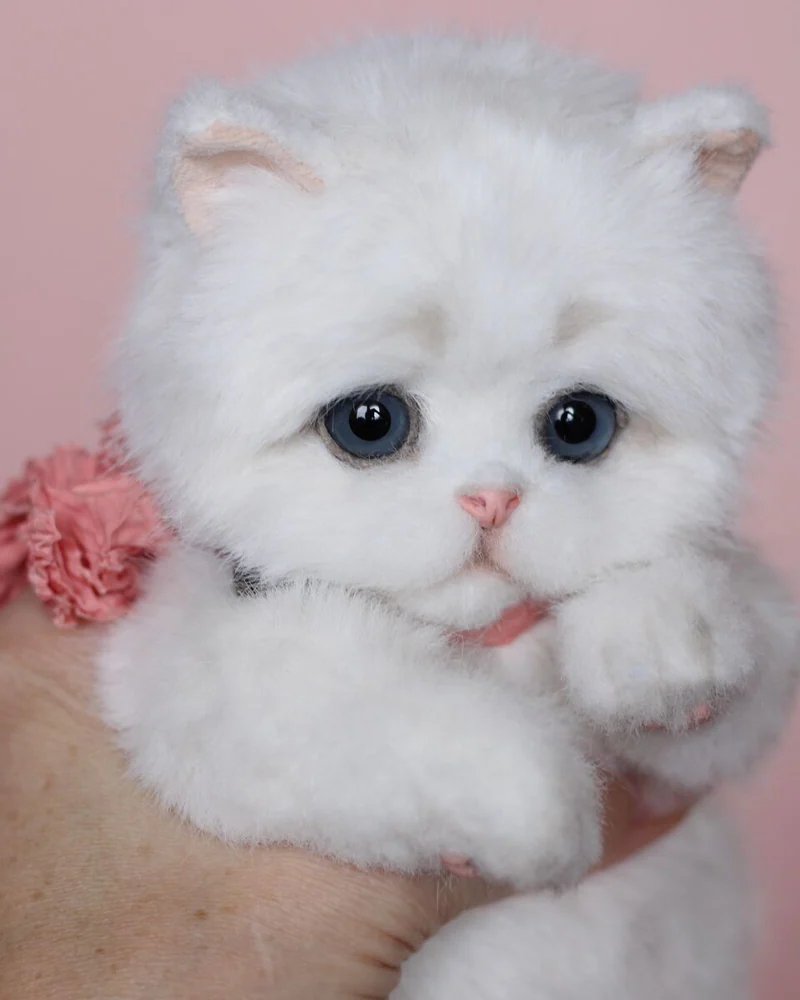 Котенок тедди 22 см, белый — Белый