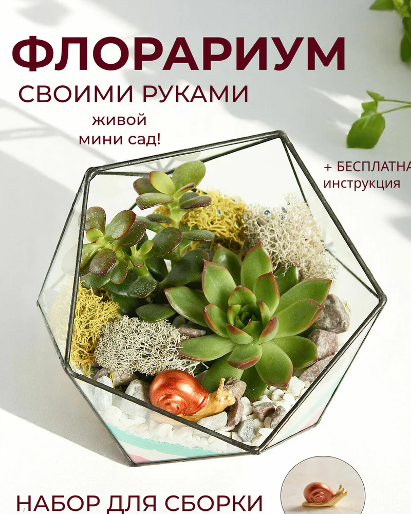 Флорариум, Набор для самостоятельной сборки флорариума с улиткой — Основной