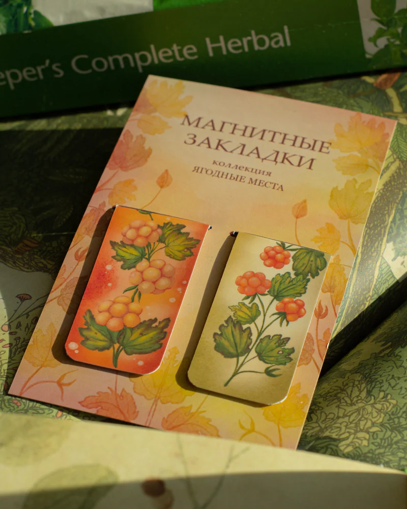 Ягодные места. Магнитные закладки. 2 шт