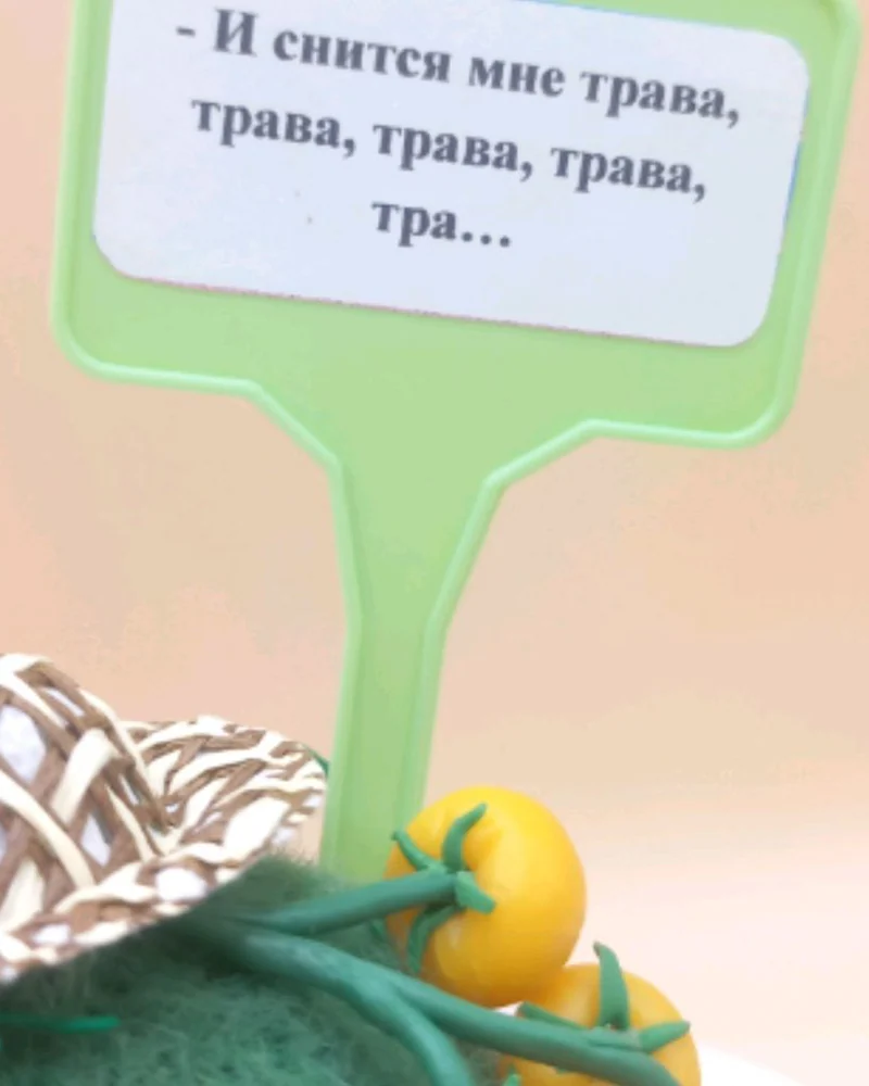 Вязаная игрушка Страж сада