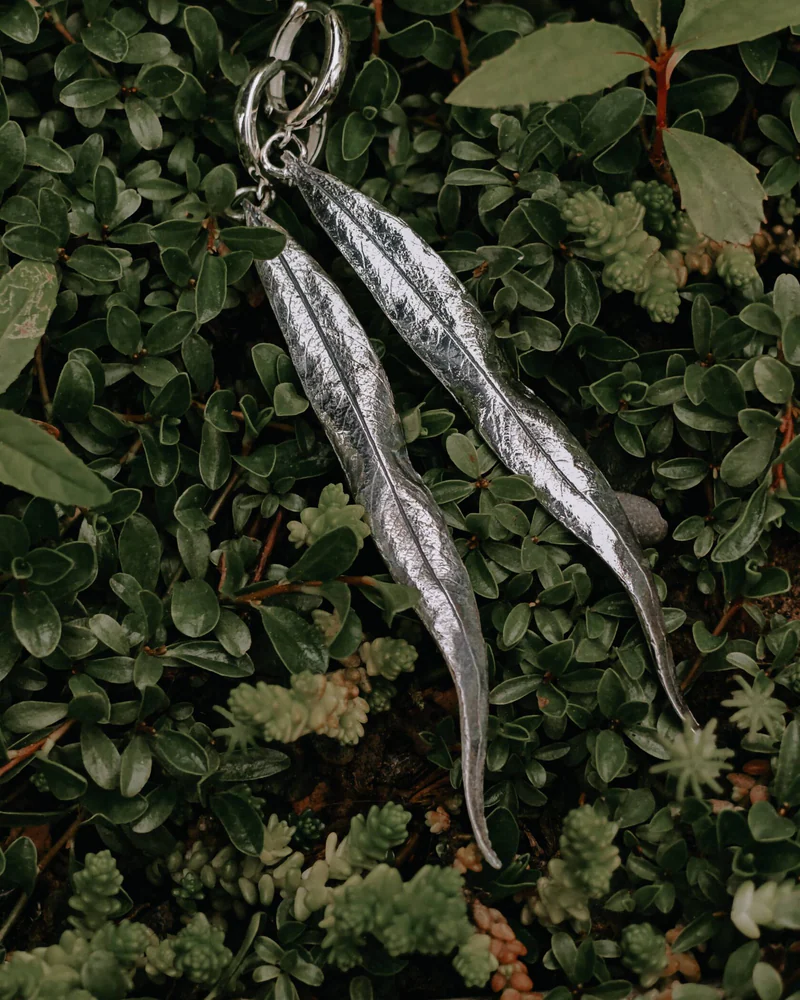 Сережки Ива — Сережки Ива