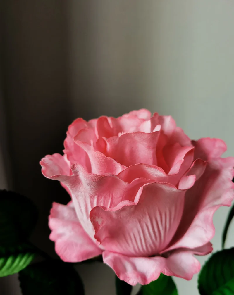 Ночник «Роза Pink», розовый