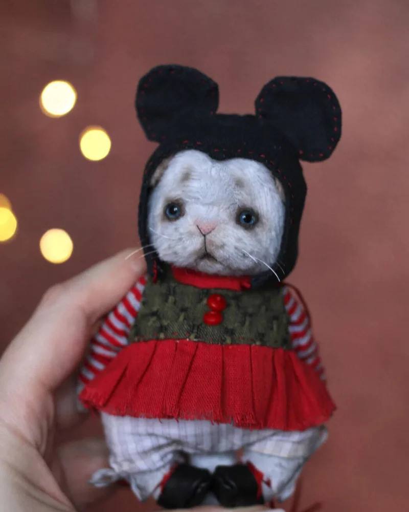 Котенок тедди — Основной