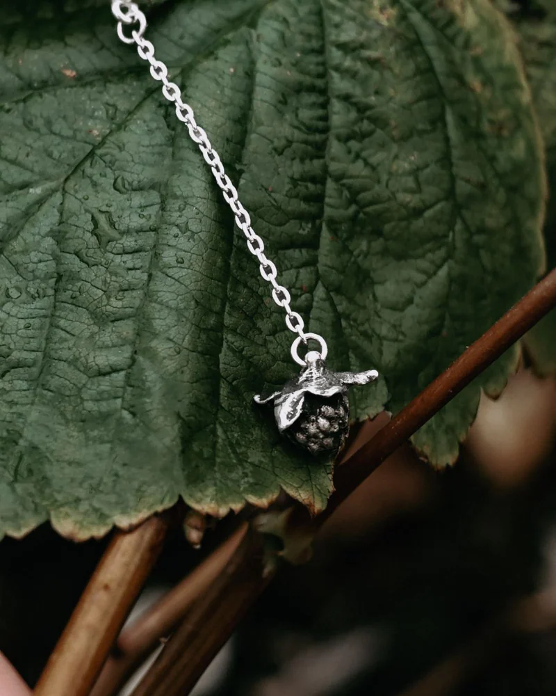 Сережки Малина — Сережки Малина