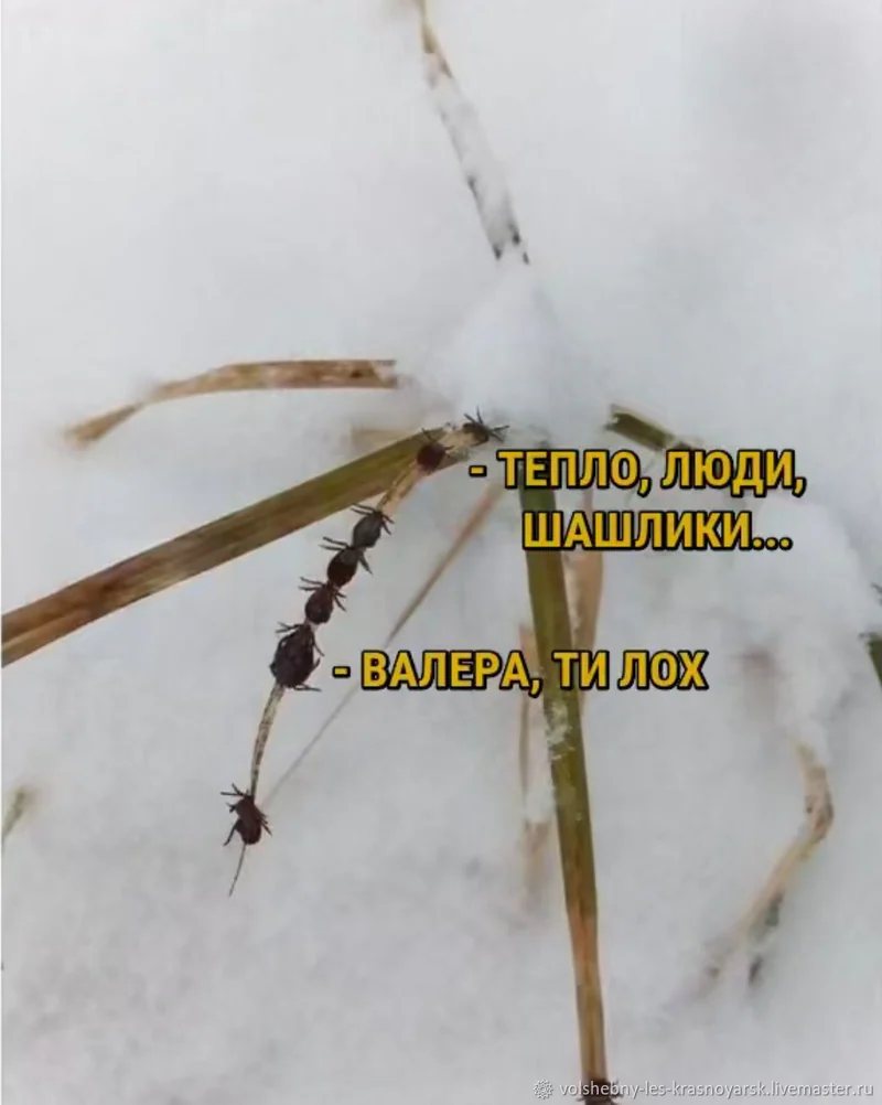 Талисман-отпугиватель "Анти-клещ"