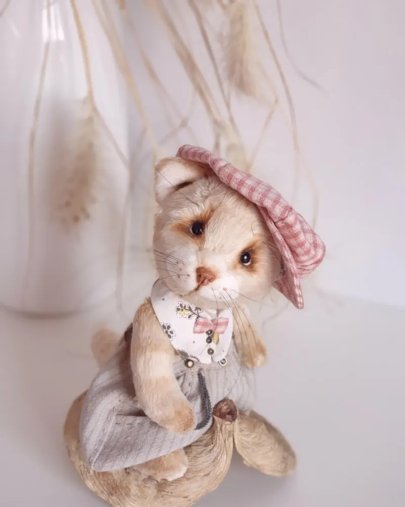 Котёнок Рани — Основной